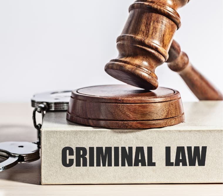 Criminal Lawyers In Coimbatore